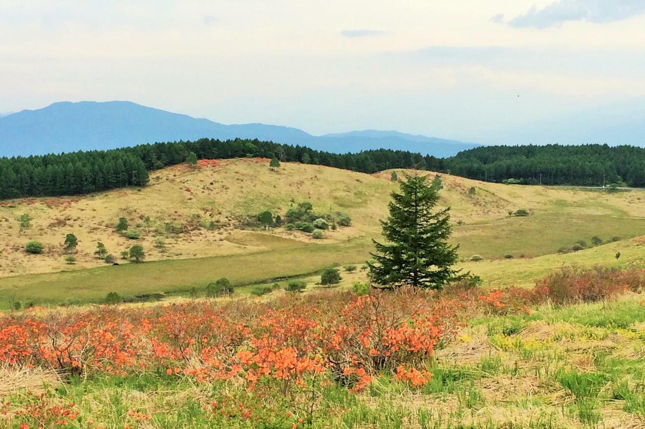 Kurumayama Kogen Guesthouse Urara Chino Eksteriør bilde